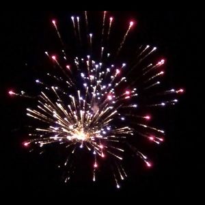 Meet your Posher, Lauri